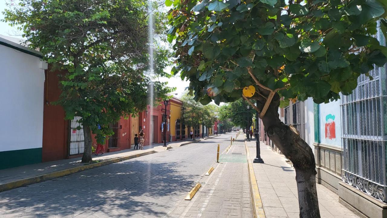 Oaxaca Departments Independenciaアパートメント エクステリア 写真